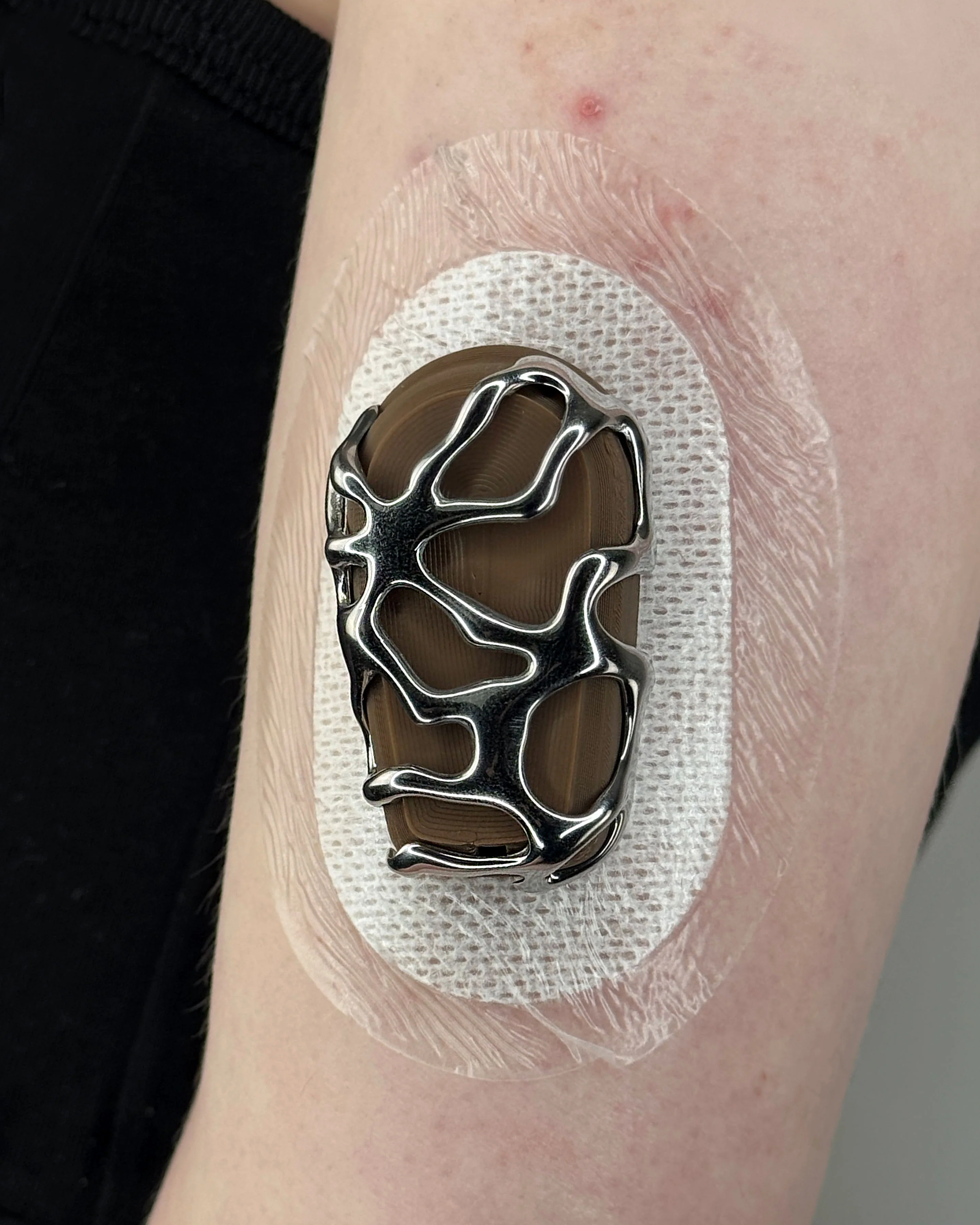 Brown Shell - Image 4