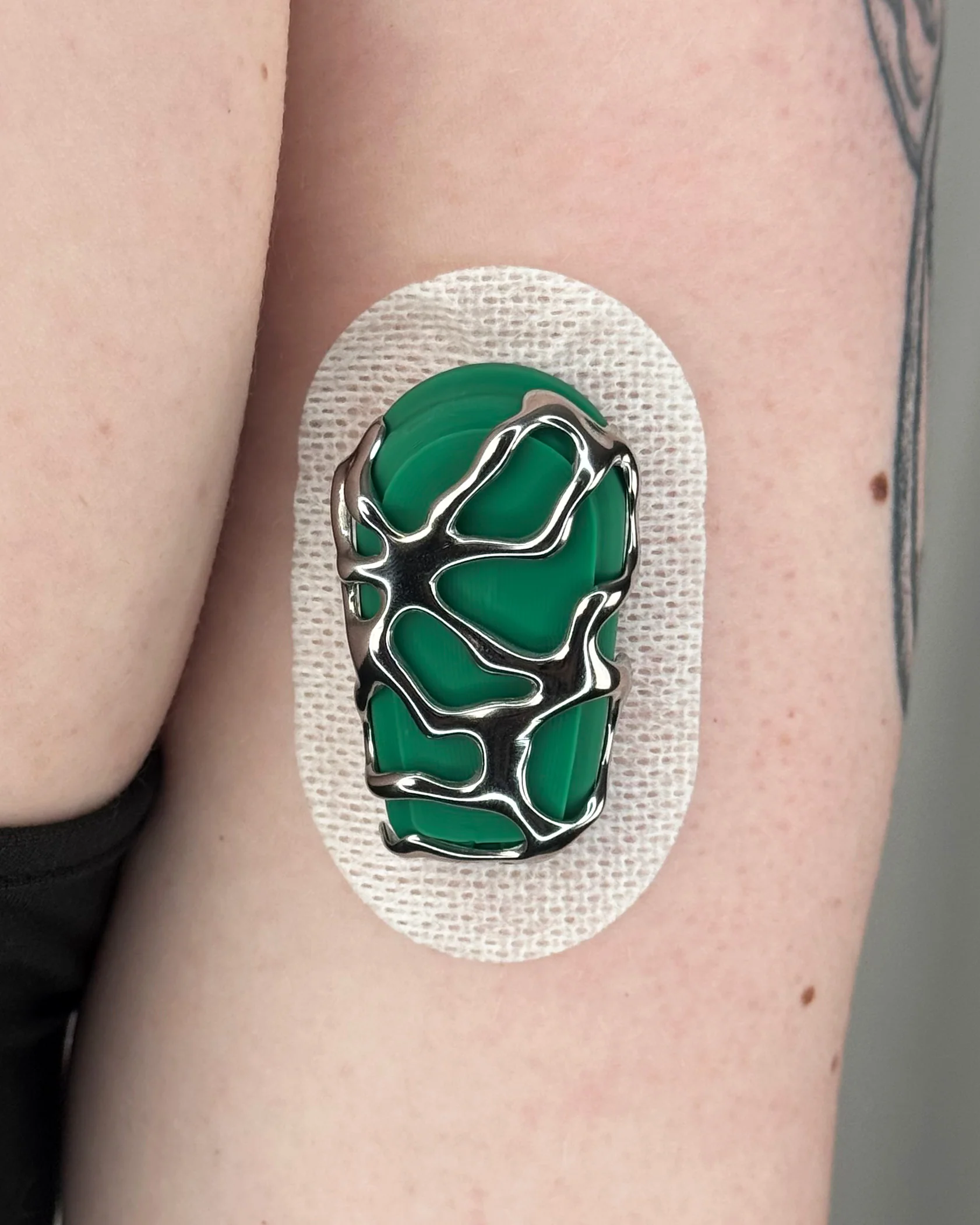 Green Shell - Image 4