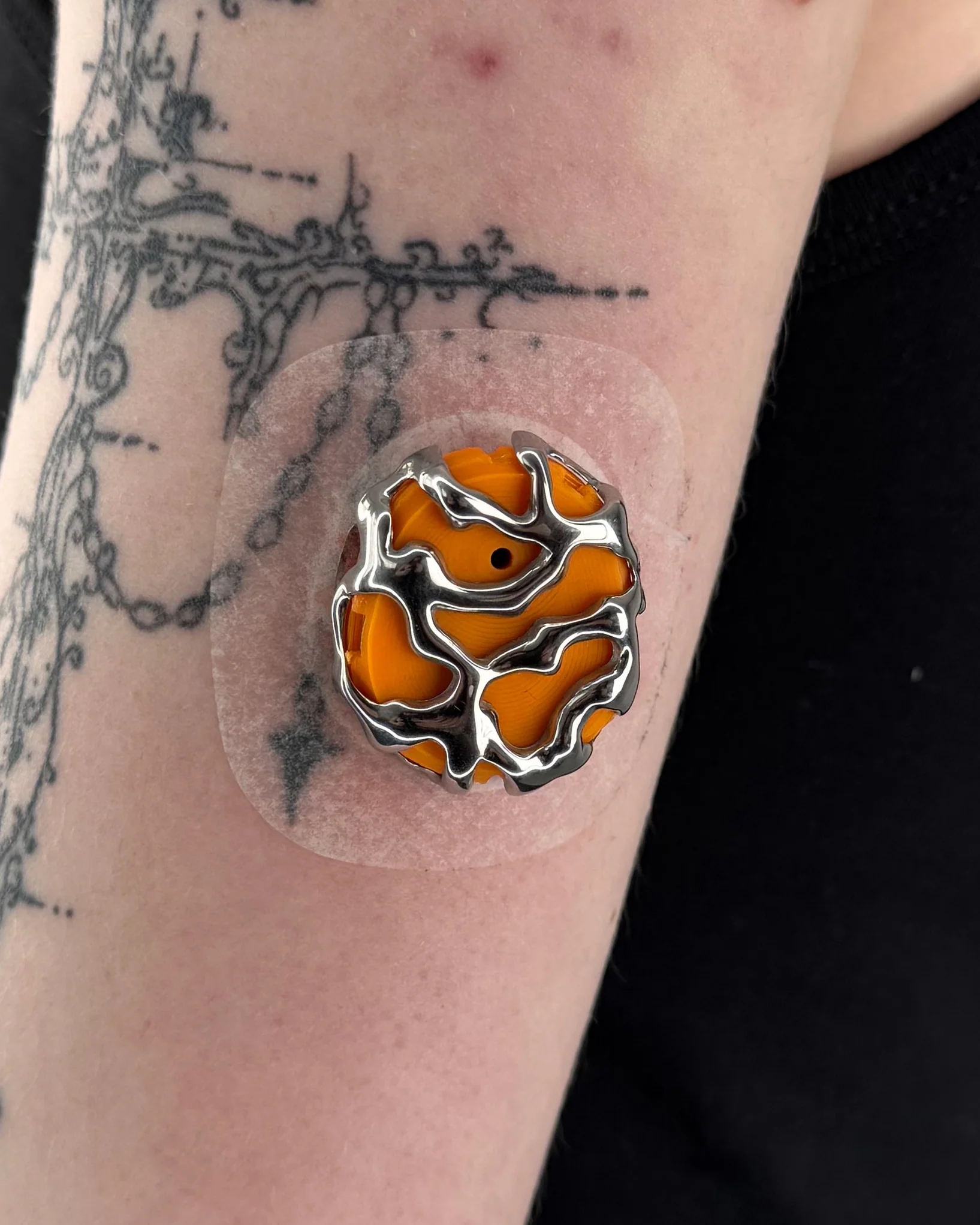 Orange Shell - Image 2