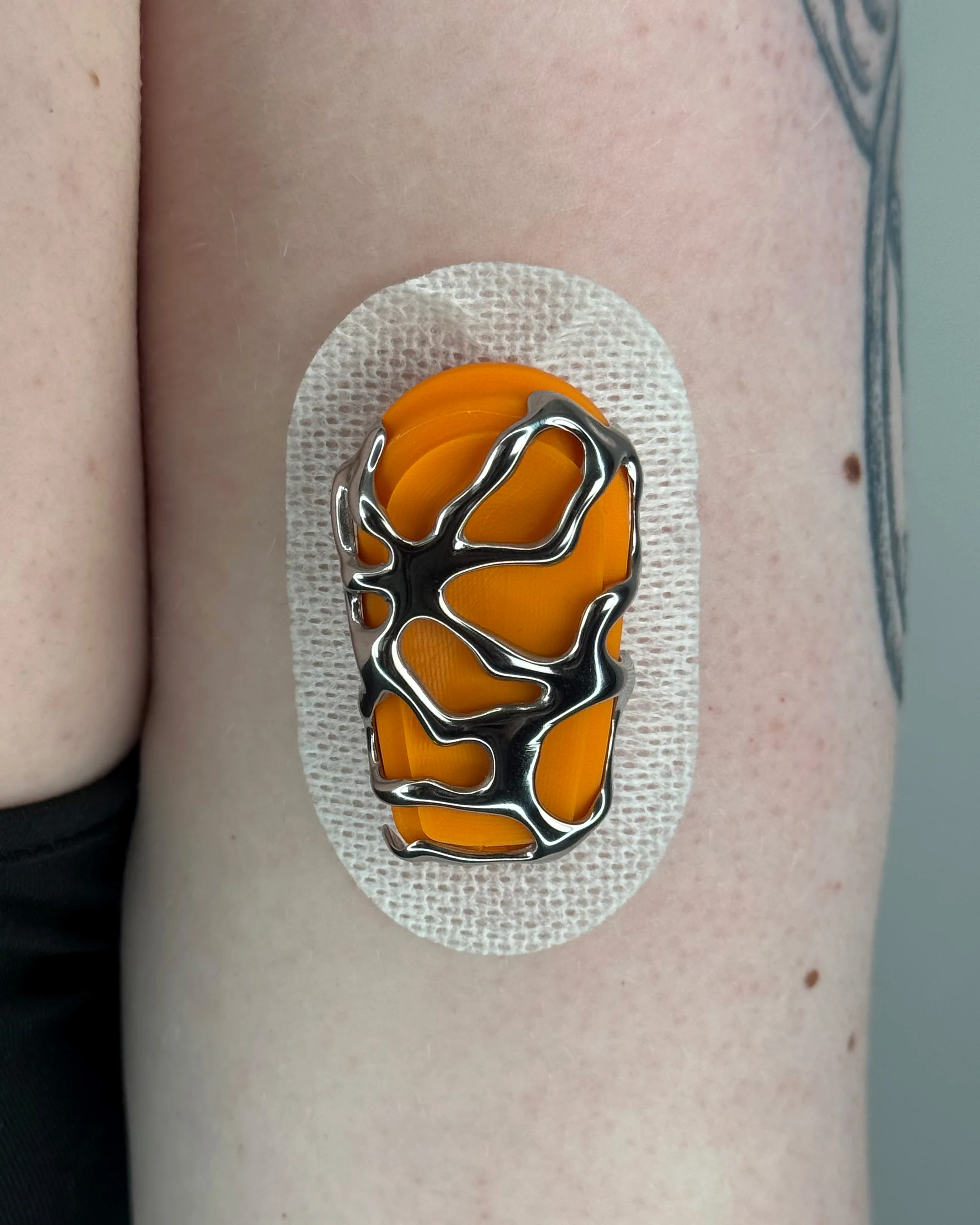 Orange Shell - Image 4