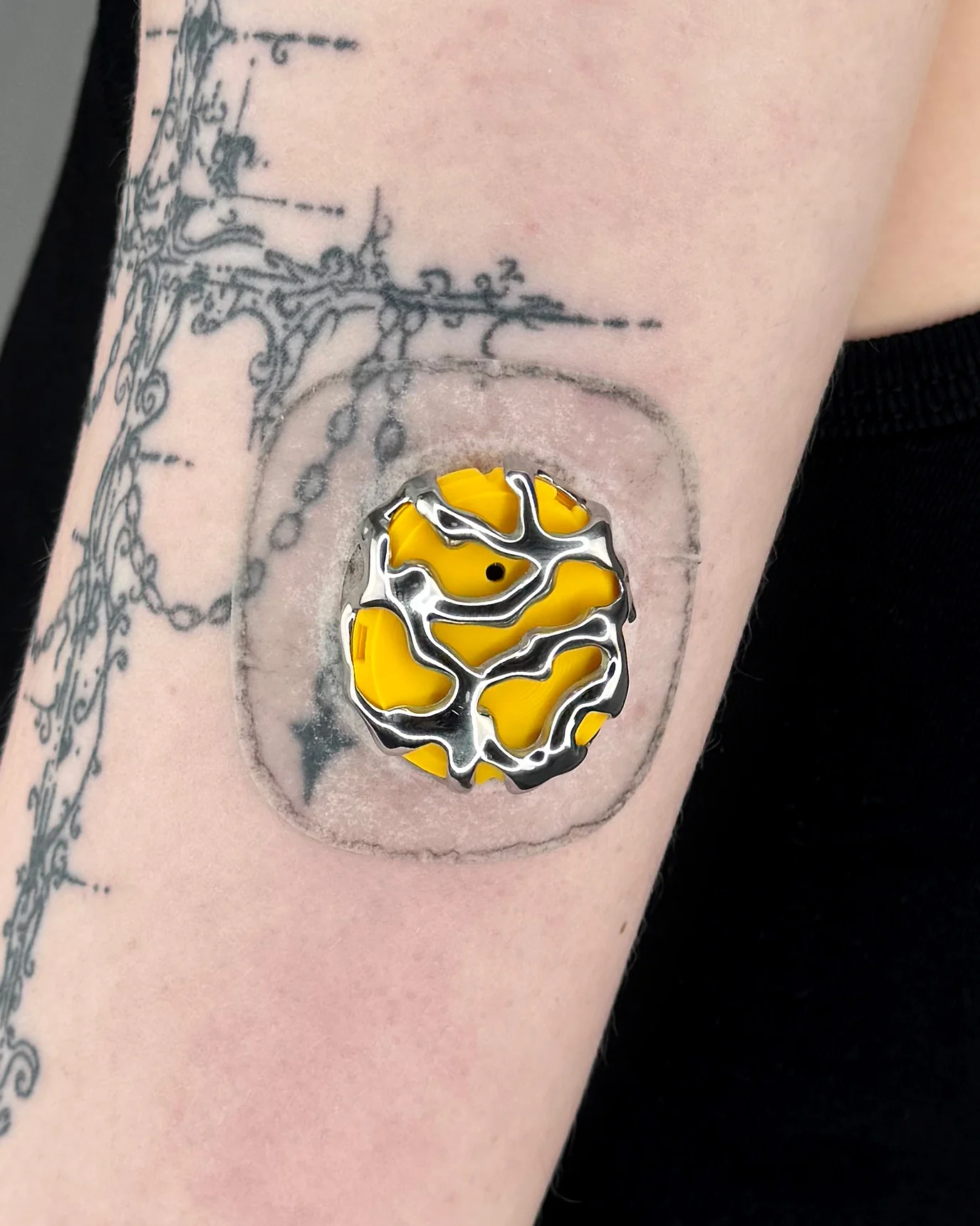 Yellow Shell - Image 2