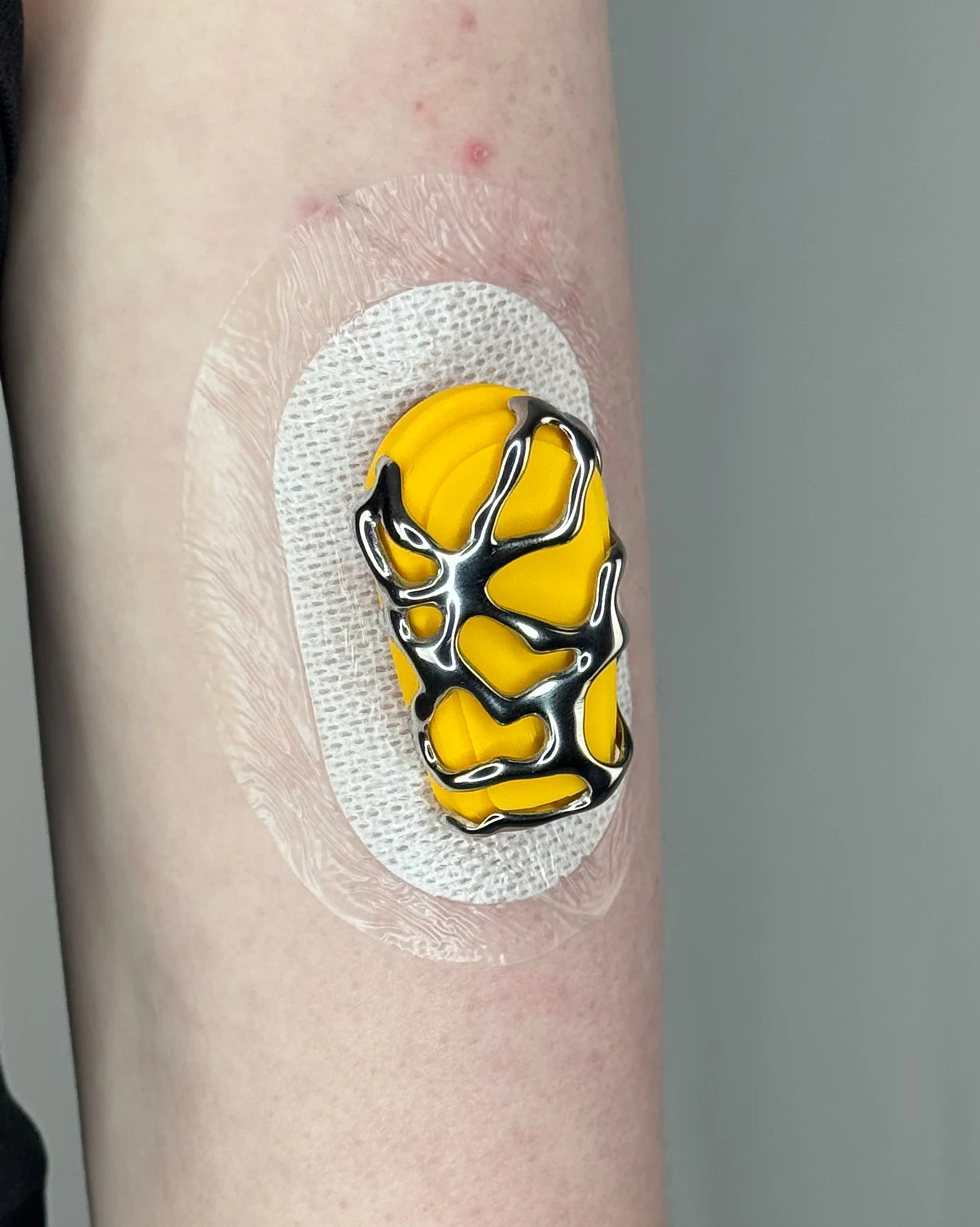 Yellow Shell - Image 4